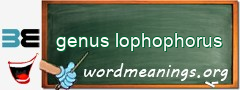 WordMeaning blackboard for genus lophophorus